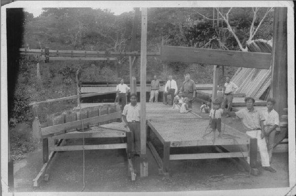 Sun drying in drying screens (bastidores) has been a Family Tradition.  Robert Louis Lamastus (dark clothes, 4th from left) and Elida (sitting) owners of Elida Estate, picture taken in 1932. Image courtesy Boquete Coffee.