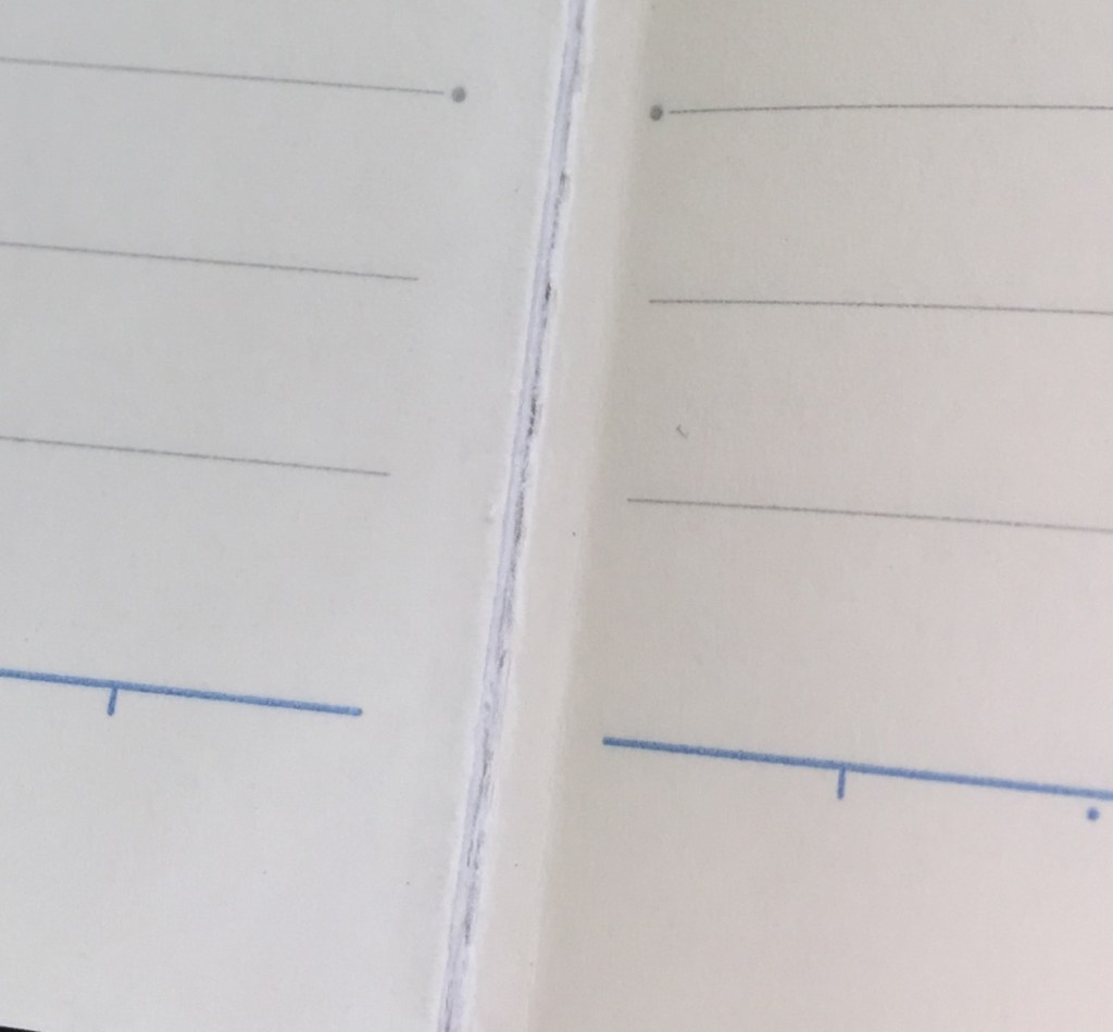 Notebook Ruling Types For Note Taking Some Fountain Pen Friendly Budget Notebook Options | Pete Denison