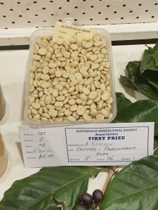 2016-11-06-jules-show-coffee